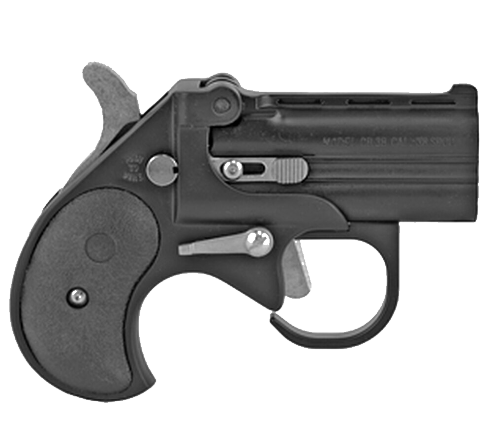 Bearman Industries - Big Bore Derringer with Guardian Package - 38 Special